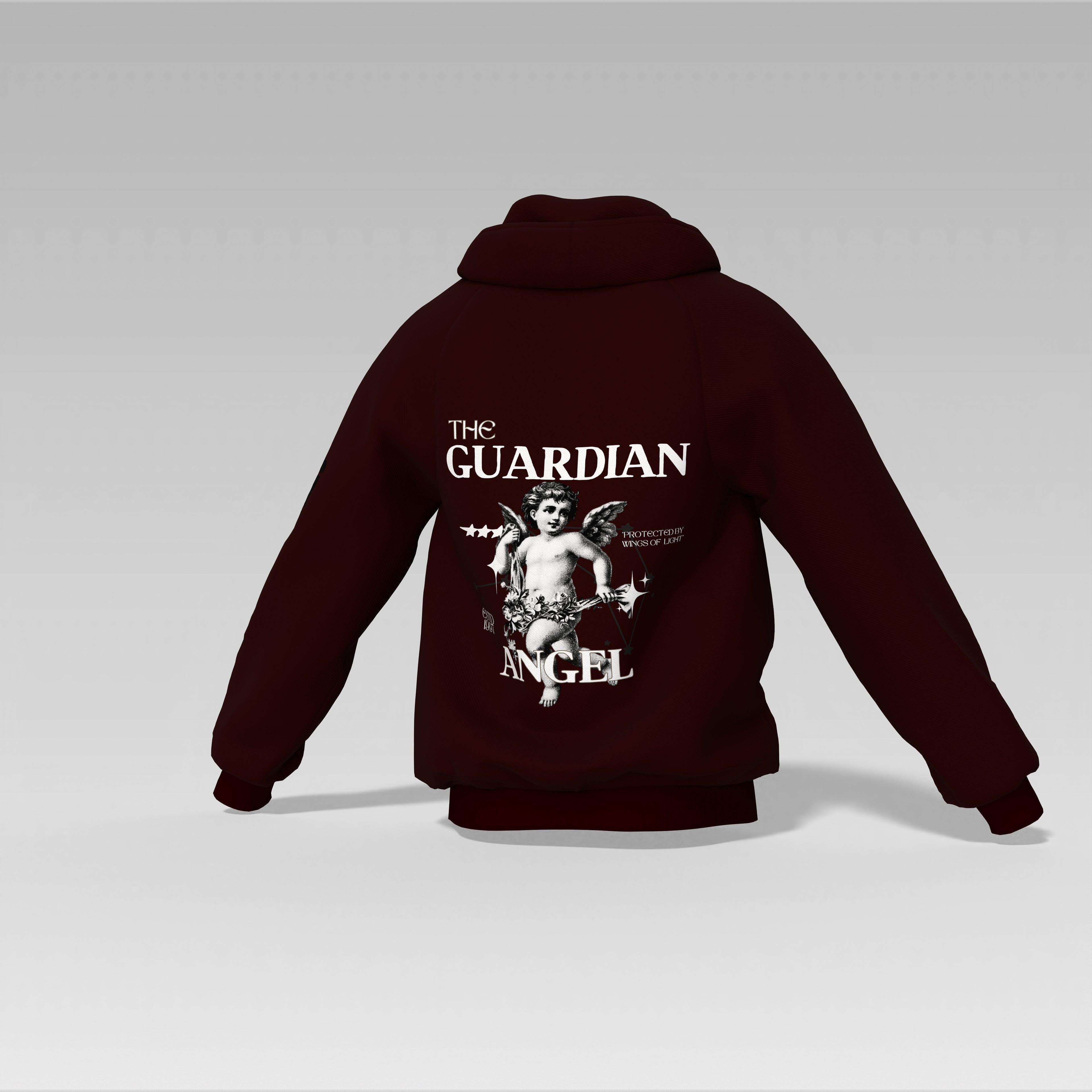 Divine Sentinel Hoodie