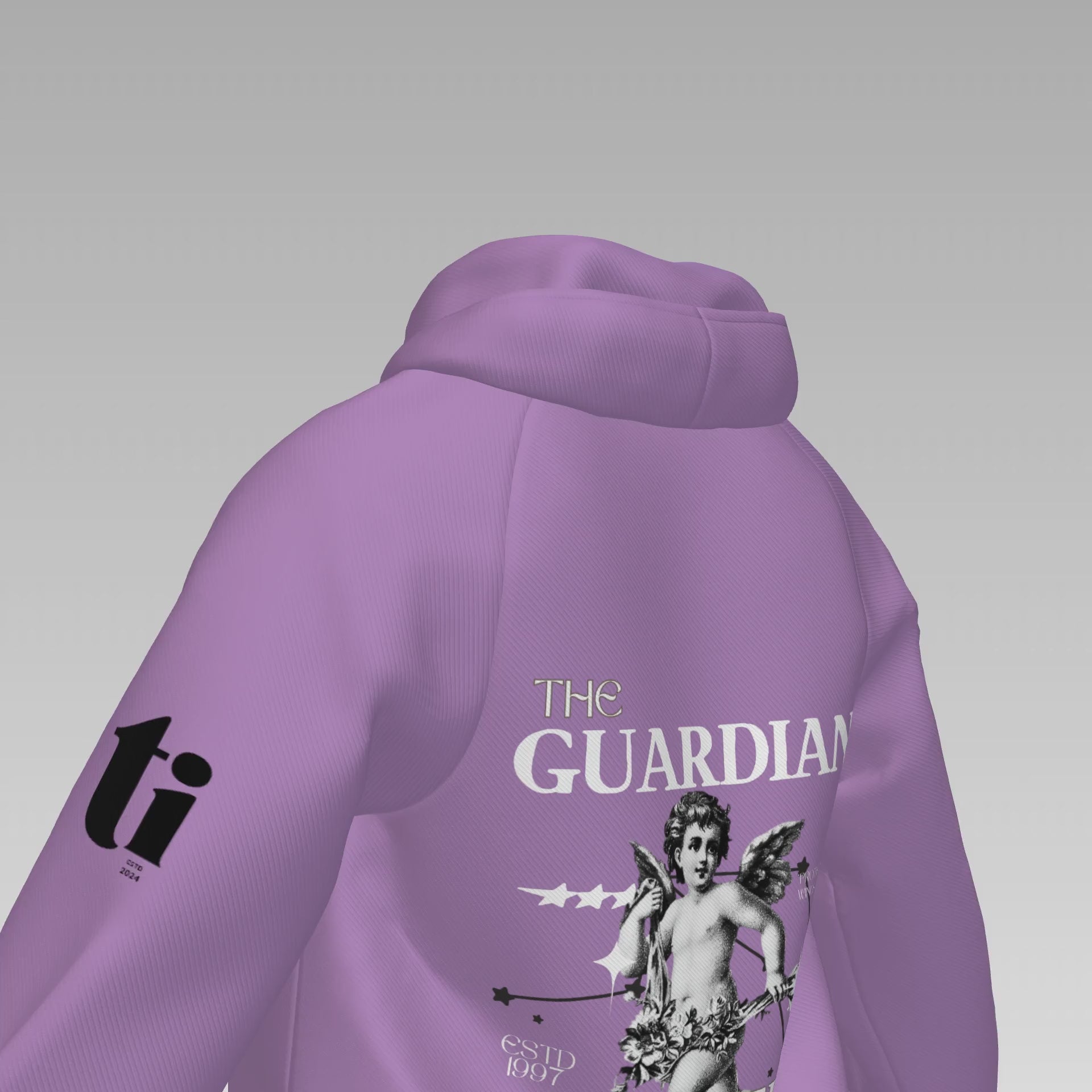 Divine Sentinel Hoodie