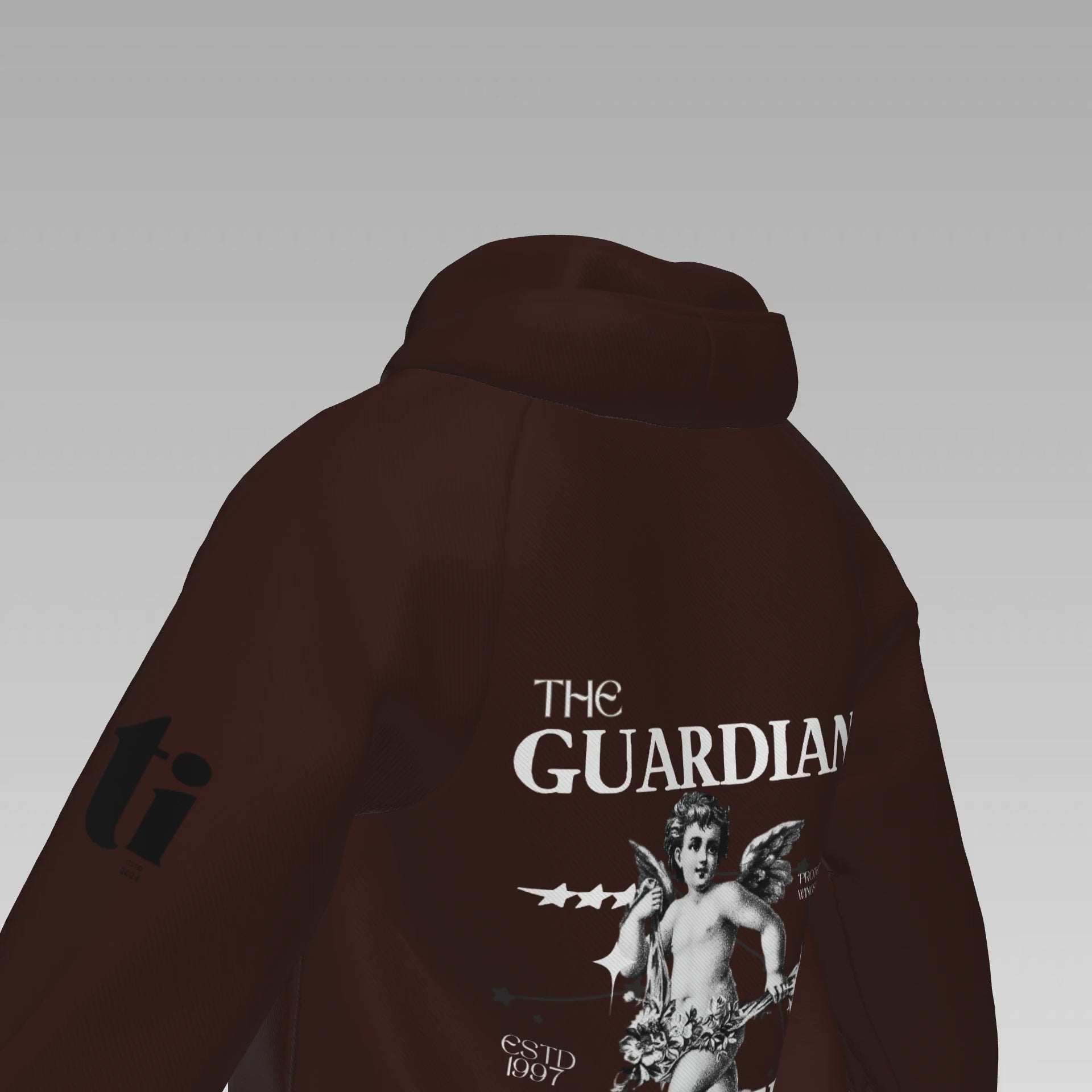 Divine Sentinel Hoodie