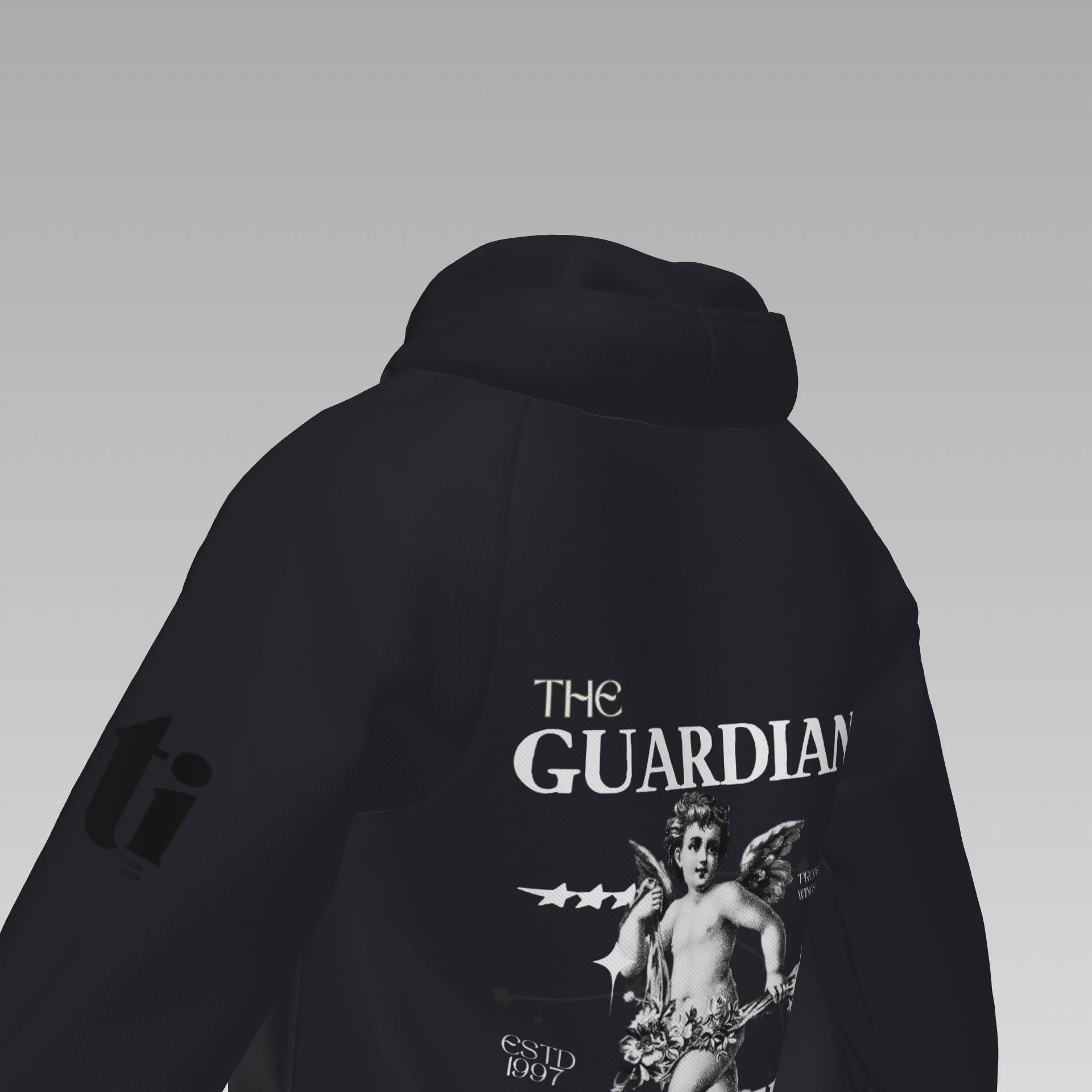 Divine Sentinel Hoodie